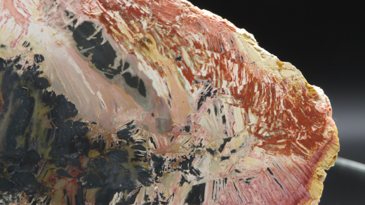 Jaspis Endstück poliert, spektakuläre Zeichnung! 234g, Sumatra / Indonesien