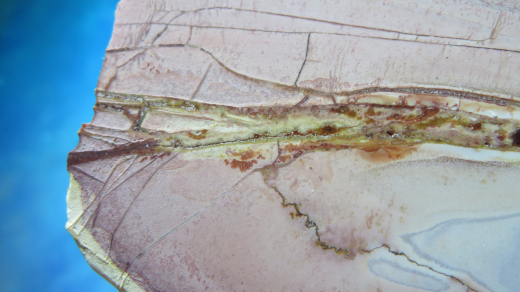 Jaspis Endstück poliert, 218g, Sumatra / Indonesien