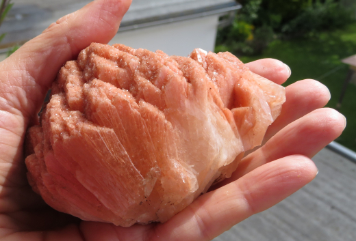 Große Stilbitrose, orange, 260g, Sangamner / Indien