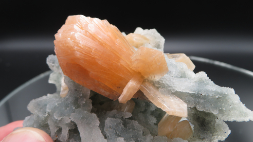Oranger Stilbit auf graublauem Chalcedon-Stalaktiten , Indien, RRR!!!