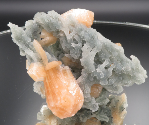 Oranger Stilbit auf graublauem Chalcedon-Stalaktiten , Indien, RRR!!!