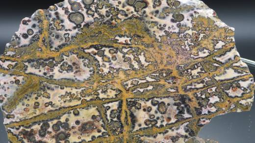 Rhyolith Leopardenjaspis Endstück, 390g, Mexiko