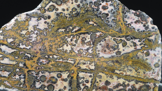 Rhyolith Leopardenjaspis Scheibe, 339g, Mexiko