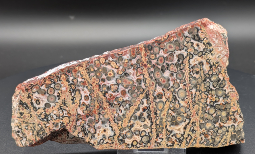 Rhyolith Leopardenjaspis Scheibe, 298g, Mexiko