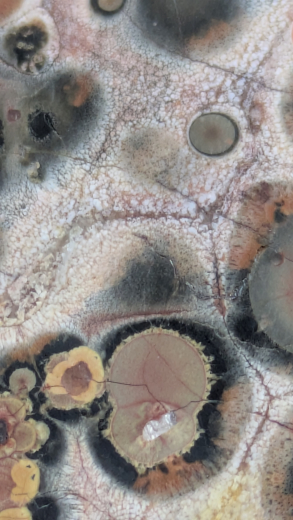 Rhyolith Leopardenjaspis Scheibe, 298g, Mexiko