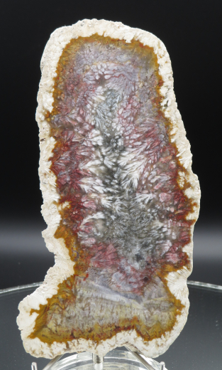 Moosachat Scheibe, 226g, multicolor extraordinary!!! Sumatra / Indonesien