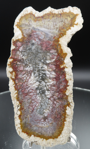 Moosachat Scheibe, 226g, multicolor extraordinary!!! Sumatra / Indonesien