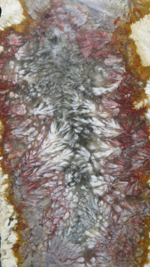 Moosachat Scheibe, 226g, multicolor extraordinary!!! Sumatra / Indonesien