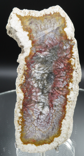 Moosachat Scheibe, 226g, multicolor extraordinary!!! Sumatra / Indonesien