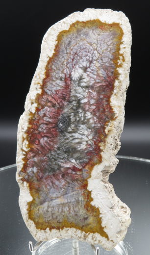 Moosachat Scheibe, 226g, multicolor extraordinary!!! Sumatra / Indonesien