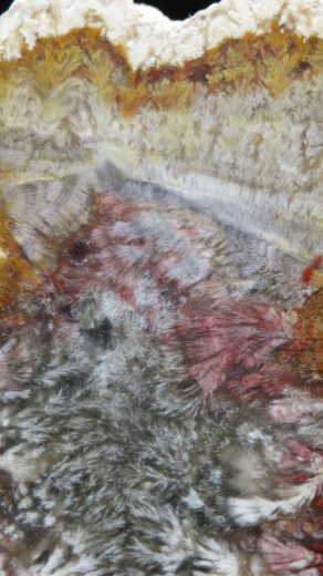 Moosachat Scheibe, 226g, multicolor extraordinary!!! Sumatra / Indonesien