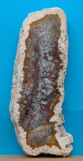 Moosachat Scheibe, 197g, multicolor extraordinary!!! Sumatra / Indonesien