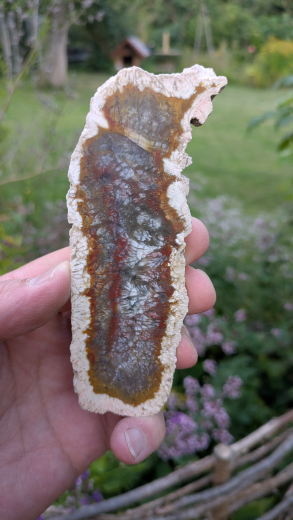 Moosachat Scheibe, 92g, multicolor extraordinary!!! Sumatra / Indonesien