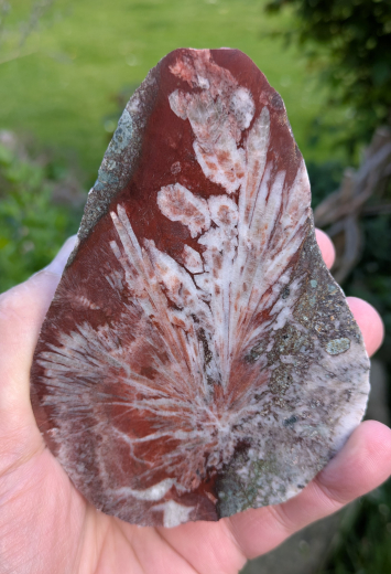 Pseudomorphose in Steinhälfte, 534g, Sumatra / Indonesien