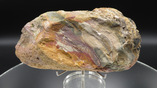 Buntes Jaspis Endstück mit versteinertem Holz, 545g, Sumatra / Indonesien