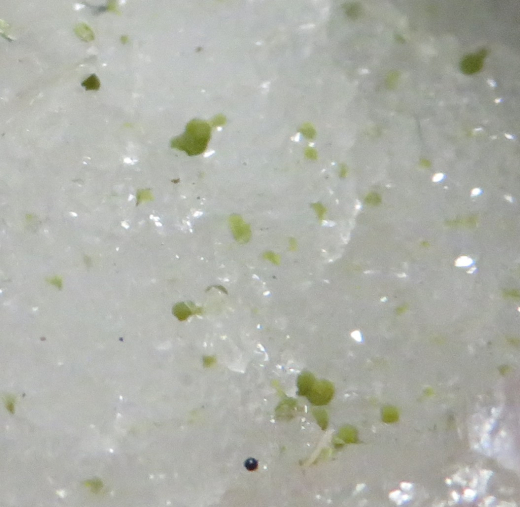 Roter Phantom-Apophyllit mit Chalcedon, Stilbit + Seladonit. 715g, Jalgaon / Indien