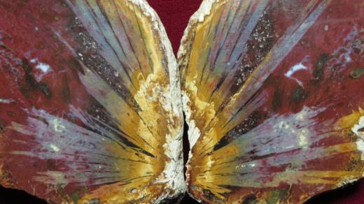 Achat Schmetterling, Bali