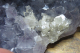 Amethyst-Druse 473 gramm, Dantil / Indien