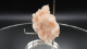 Stilbittafeln mit Apophylit, 79g, Sangamner / Indien