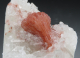 Rotes Heulanditbündel auf Apophylit 78g , Puna / Indien!