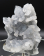 Glasklare Apophylit-Doppelender auf blaugrauem Chalcedon-Stalaktiten , Nashik /Indien