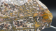 Rhyolith Leopardenjaspis Scheibe, 339g, Mexiko