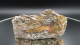 Rhyolith Leopardenjaspis Endstück, 229g, Mexiko
