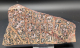 Rhyolith Leopardenjaspis Scheibe, 298g, Mexiko