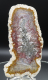 Moosachat Scheibe, 226g, multicolor extraordinary!!! Sumatra / Indonesien