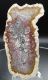 Moosachat Scheibe, 226g, multicolor extraordinary!!! Sumatra / Indonesien