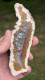 Moosachat Scheibe, 74g, multicolor extraordinary!!! Sumatra / Indonesien