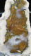 Skolezit-Achat 224g, Sumatra / Indonesien, RRR!!!