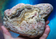 Große Achat Pseudomorphose !!! Endstück, 1197g, Sumatra / Indonesien