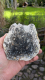 Versteinerte Palmwurzel, Scheibe 364g, Sumatra / Indonesien