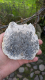 Versteinerte Palmwurzel, Scheibe 364g, Sumatra / Indonesien