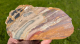 Buntes Jaspis Endstück mit versteinertem Holz, 545g, Sumatra / Indonesien