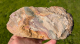 Buntes Jaspis Endstück mit versteinertem Holz, 545g, Sumatra / Indonesien