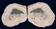 Mosaik Jaspis Steinhälfte (2) 619g, Sumatra / Indonesien