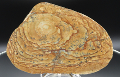 Landschafts-Jaspis mit Dendriten 452g, Süd-Sumatra/ Indonesien