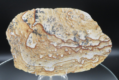 Landschafts-Jaspis mit Dendriten 645g, Süd-Sumatra/ Indonesien