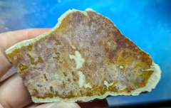 Elfenflügel-Achat / Versteinerte Koralle 111g, Indonesien