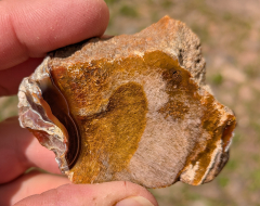 Sandelholz-Achat 74g, Indonesien