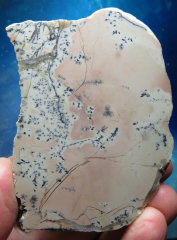 Farbklecks-Jaspis (rosa) mit Dendriten 376g, Tangkuban / Indonesien