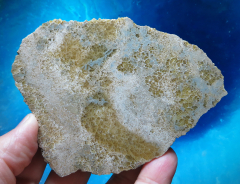 Versteinerte Spinnennetz-Koralle 326g, Indonesien, Selten!