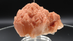 Große Stilbitrose, orange, 260g, Sangamner / Indien