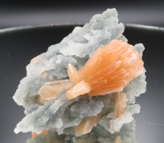 Oranger Stilbit auf graublauem Chalcedon-Stalaktiten , Indien, RRR!!!