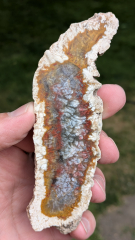 Moosachat Scheibe, 74g, multicolor extraordinary!!! Sumatra / Indonesien