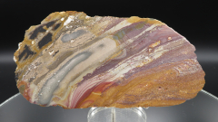 Buntes Jaspis Endstück mit versteinertem Holz, 545g, Sumatra / Indonesien