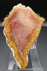 Blüten-Achat / Versteinerte Koralle in Form von Südamerika!