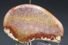 Blüten-Achat / Versteinerte Koralle, Indonesien